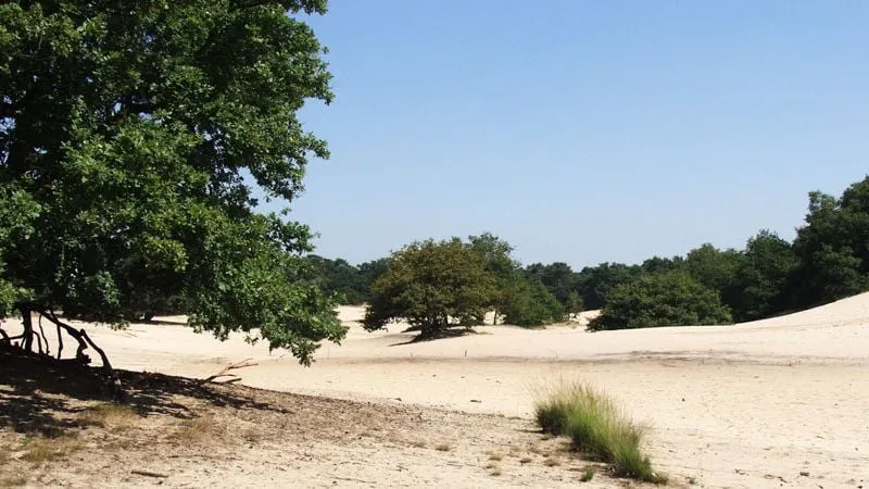 h629eq8tn7kc23hcfzock0mwk loonsedrunenseduinen