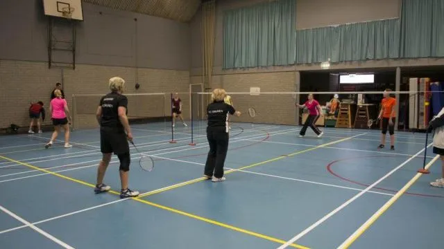 hi66jka6xtic4t32msxc8plbc ww140903 badminton