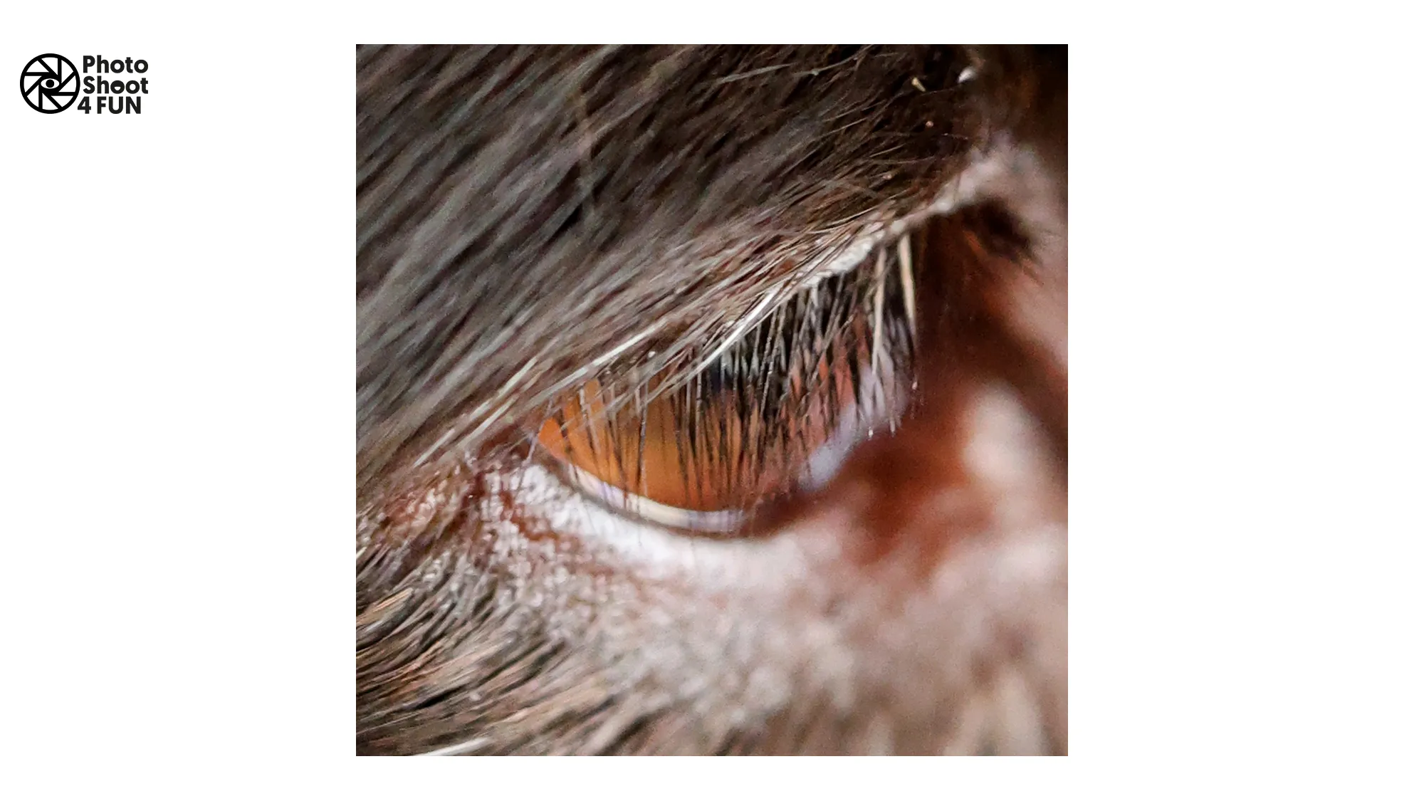 hn 202212 tineke struijk