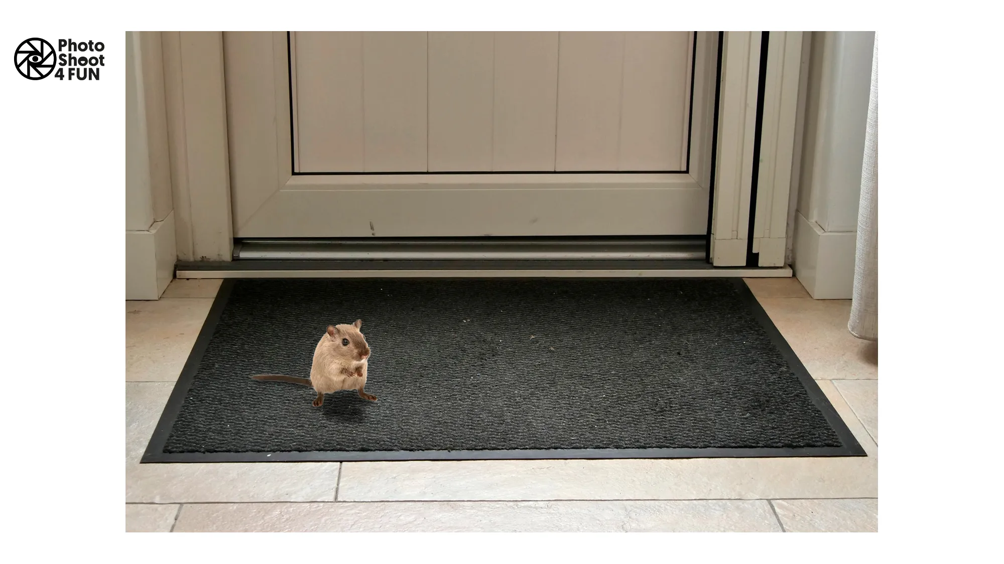 hn 202302 marion willems