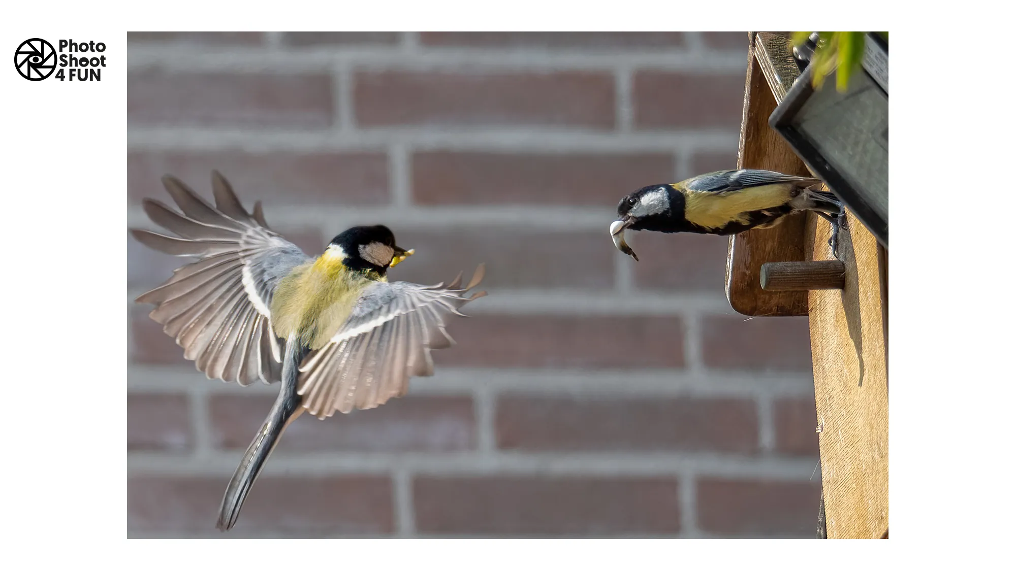 hn 202305 marion willems