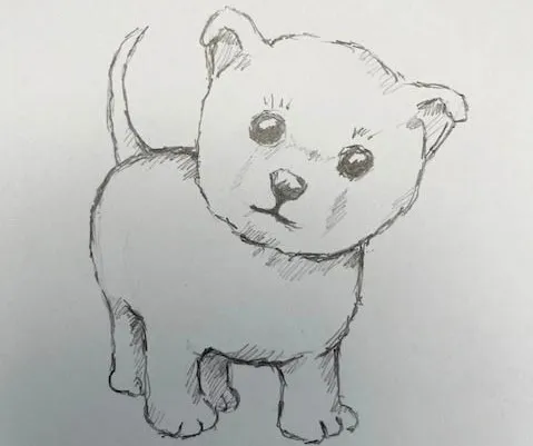 hondje 1