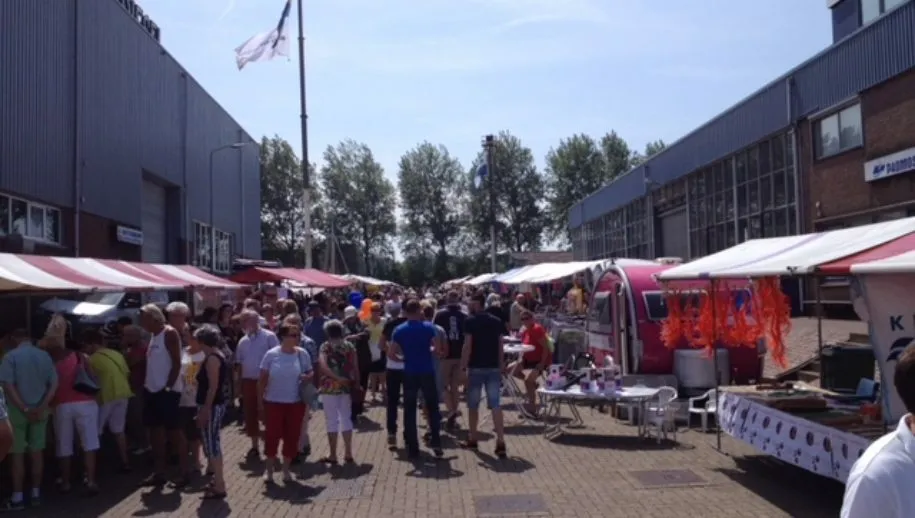 img 1043 915x518 1 915x518 1