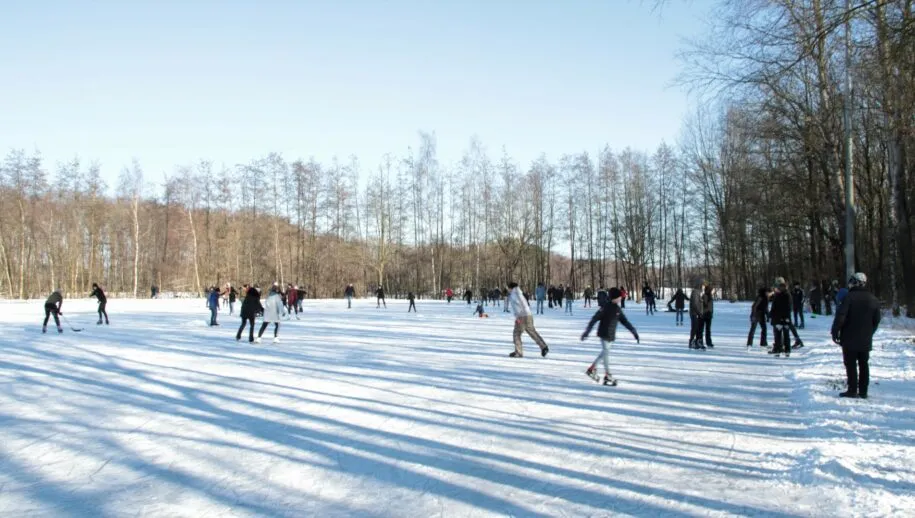 img 1371 groot 915x518 1