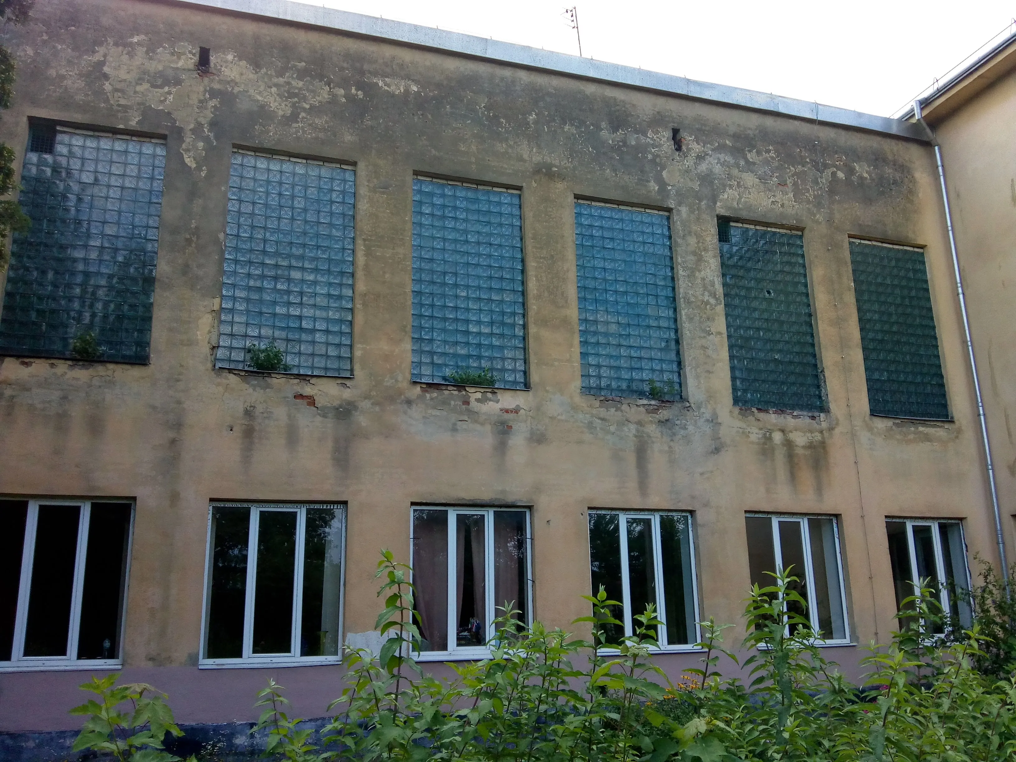 img 20210806 090921149