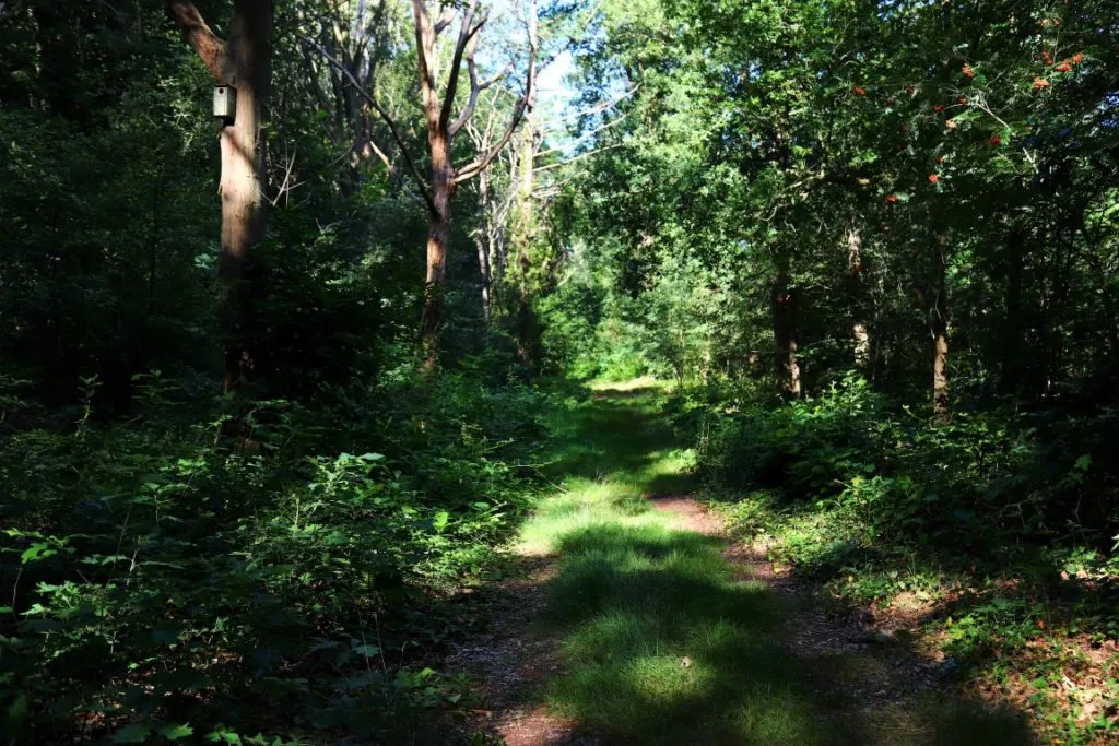 img 2683 medium 1024x683 1