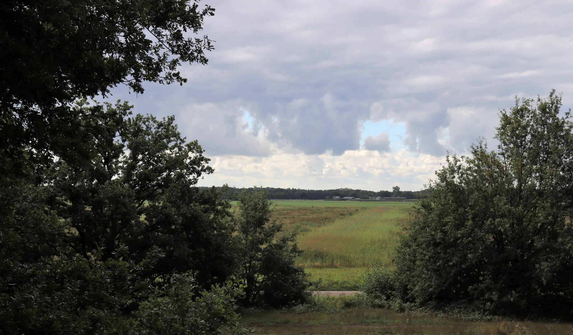 img 3856 large