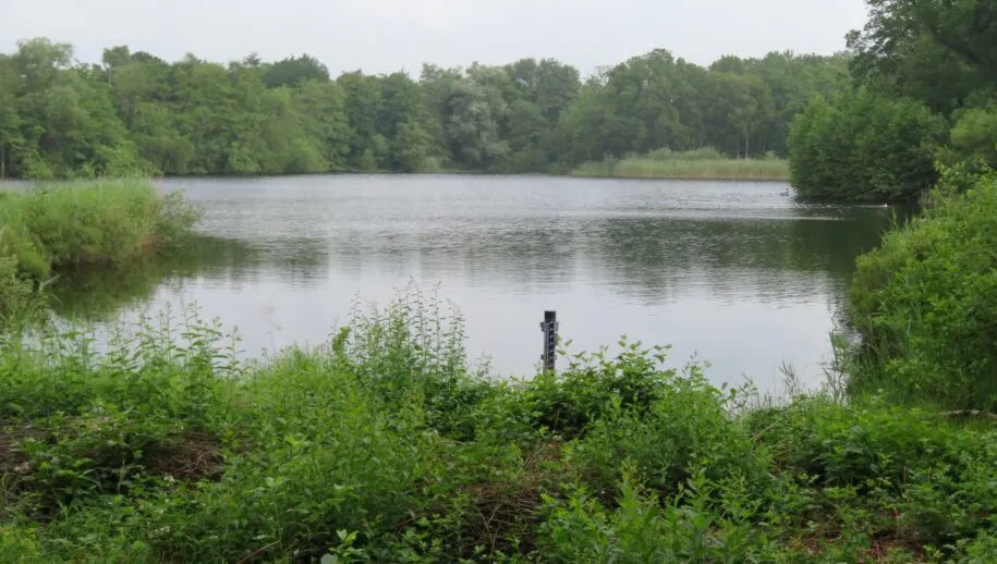 img 3953 groot 915x518 1