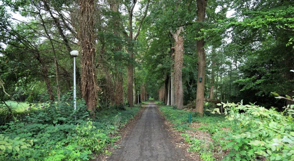 img 3999 large 1024x562 1