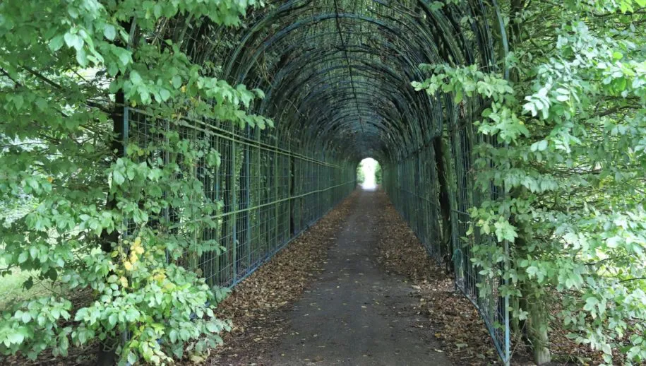 img 4009 large 915x518 1