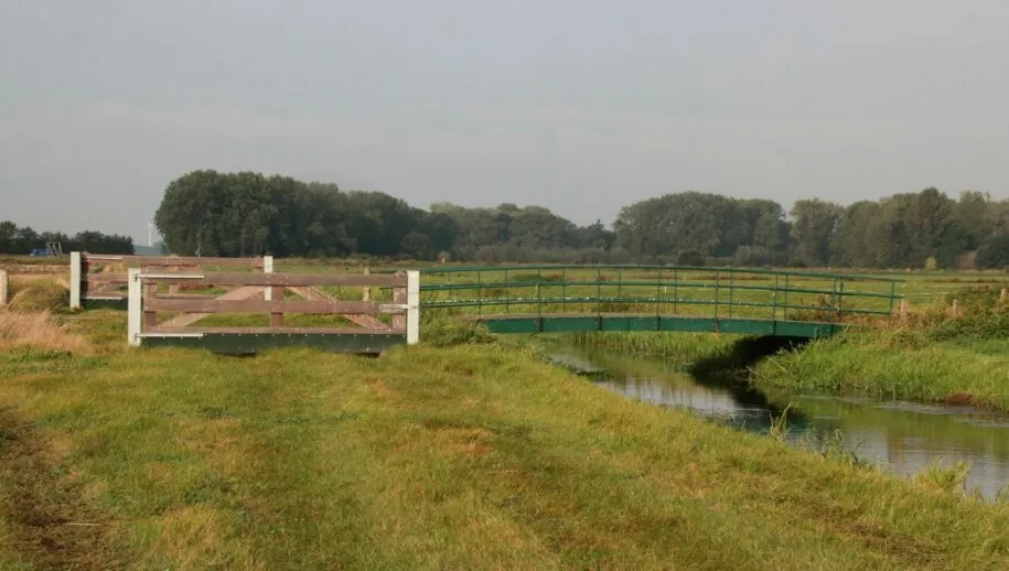 img 5043 groot 915x518 1 915x518 1