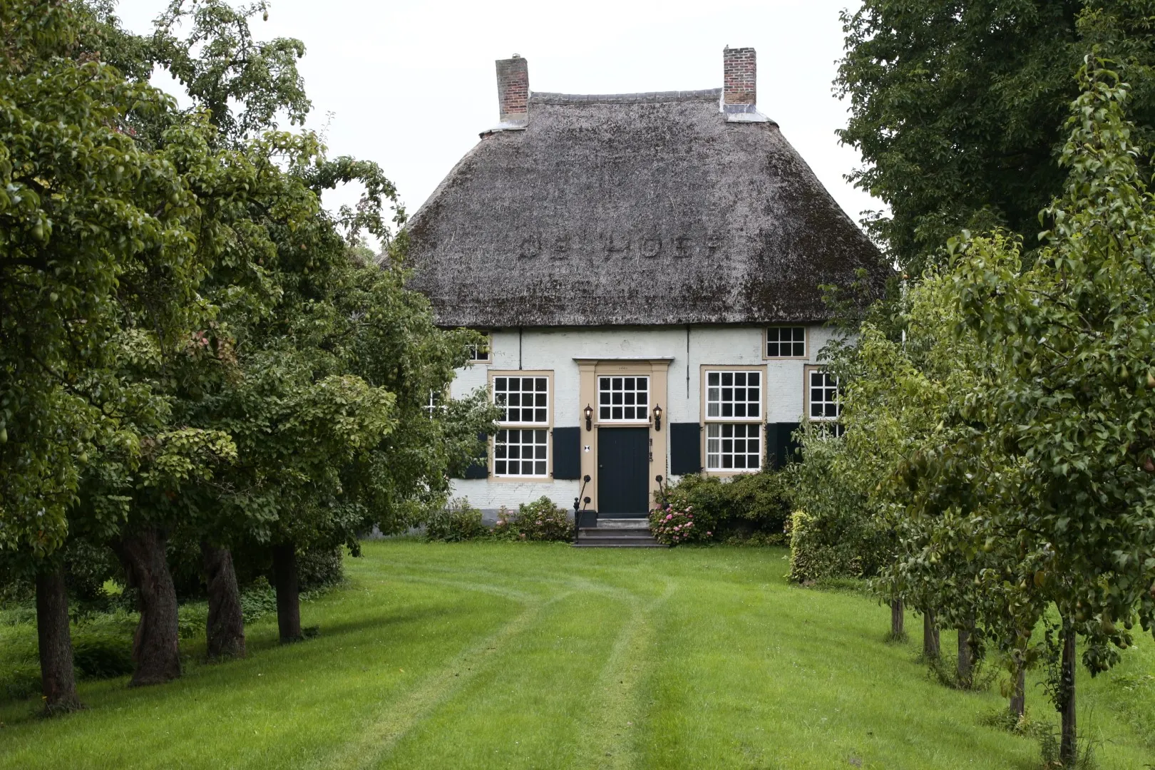 img 7082 groot