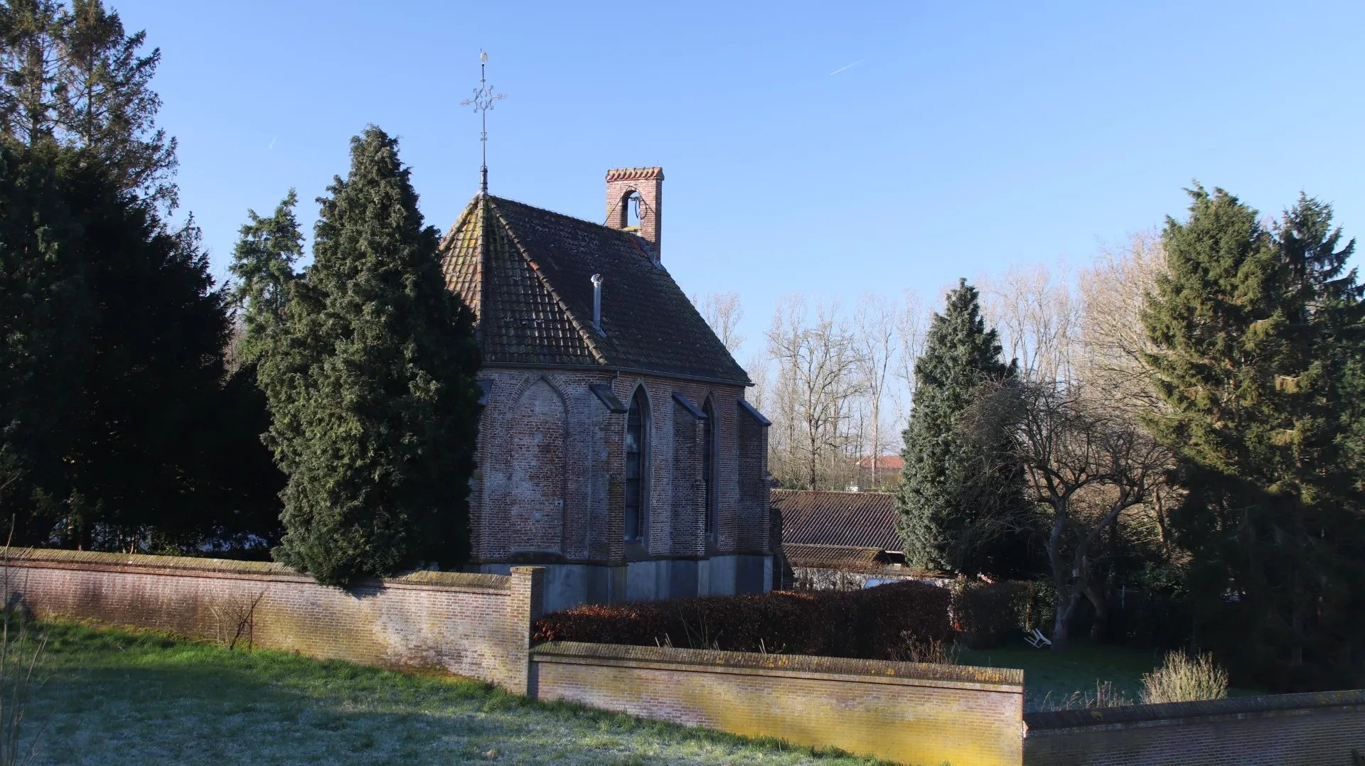 img 7271 groot