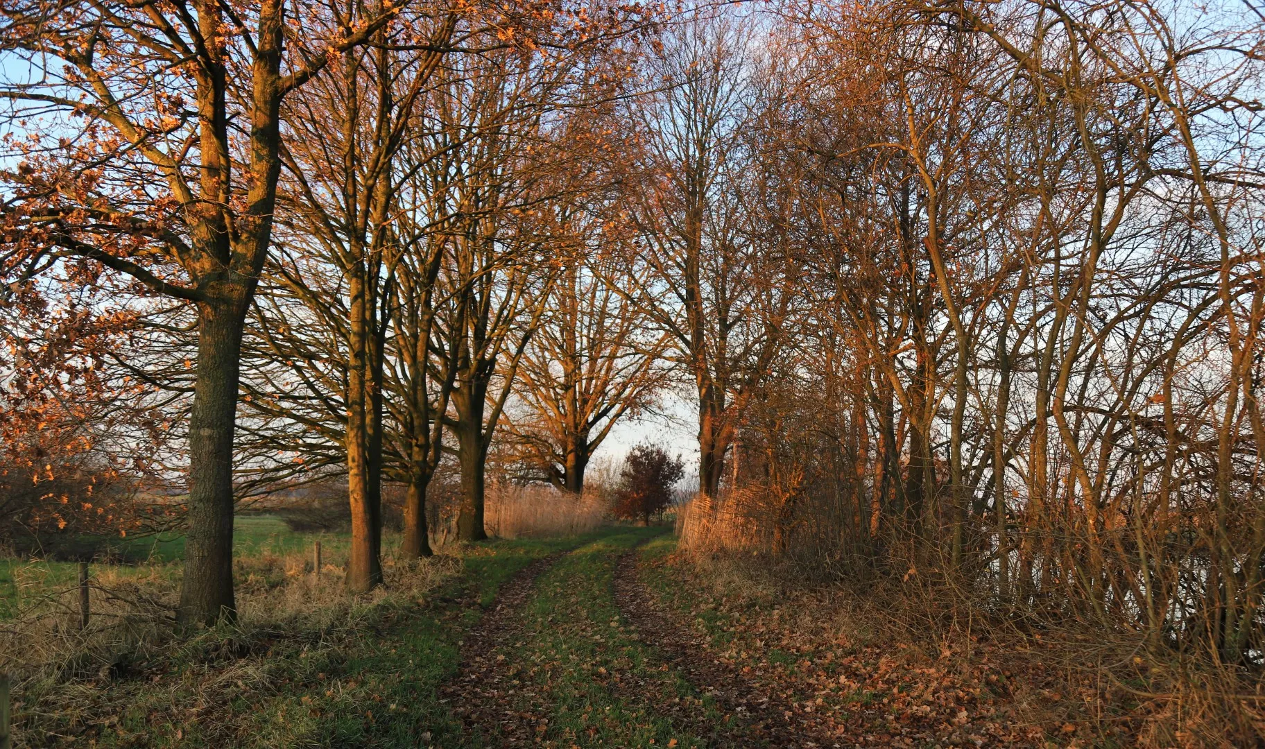 img 7643 groot