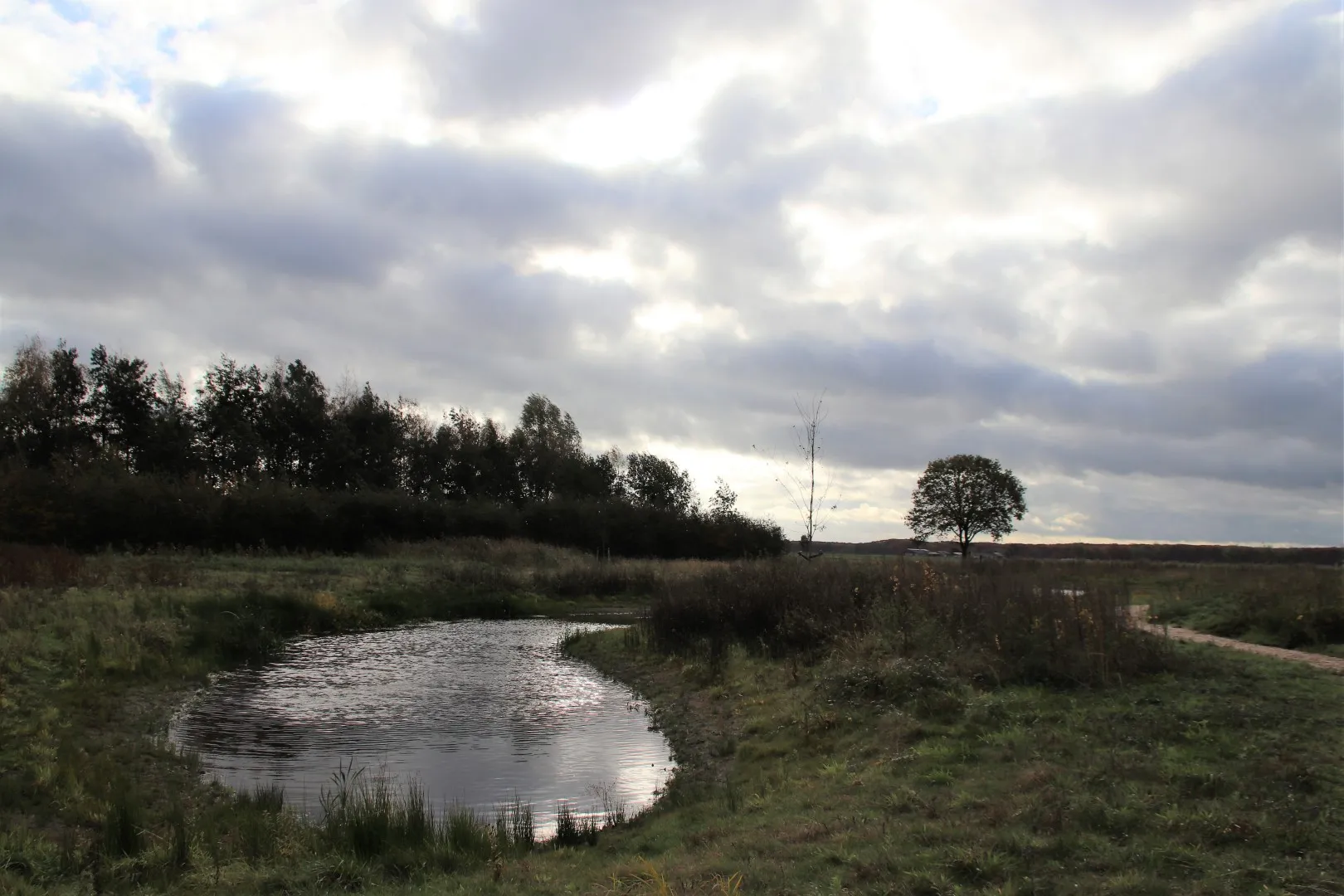 img 9530 groot