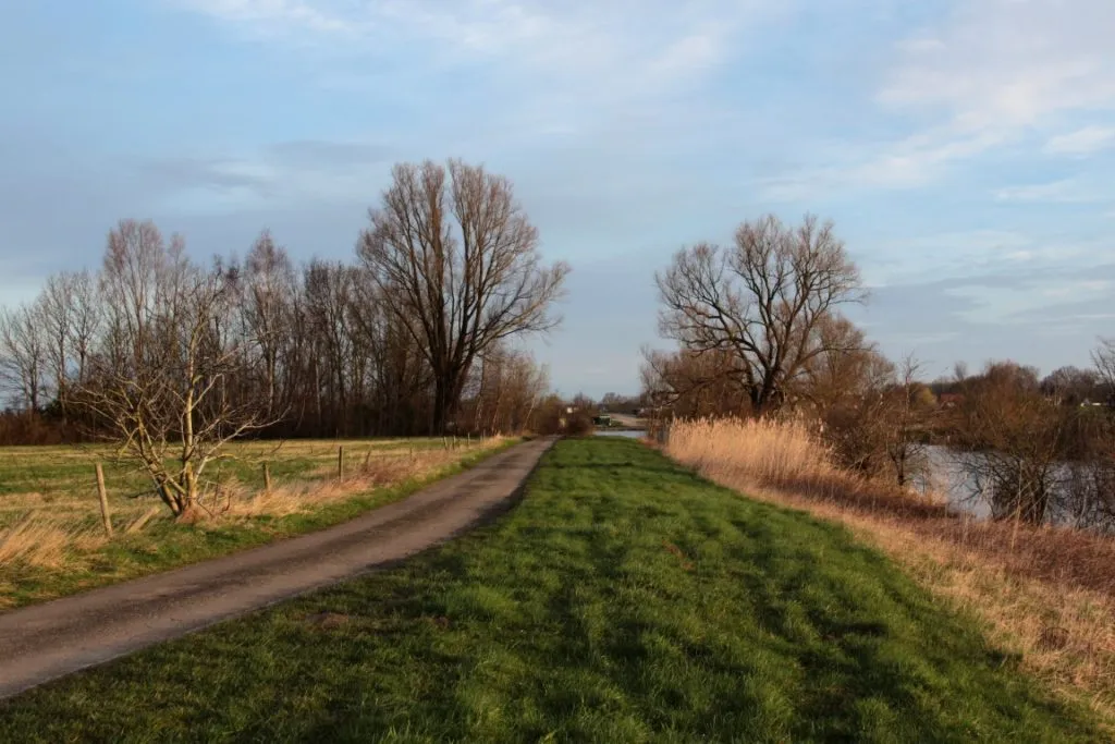 img 9683 medium 1024x683