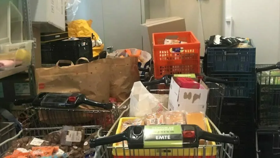 img 9972 915x518 1 915x518 1 915x518 1