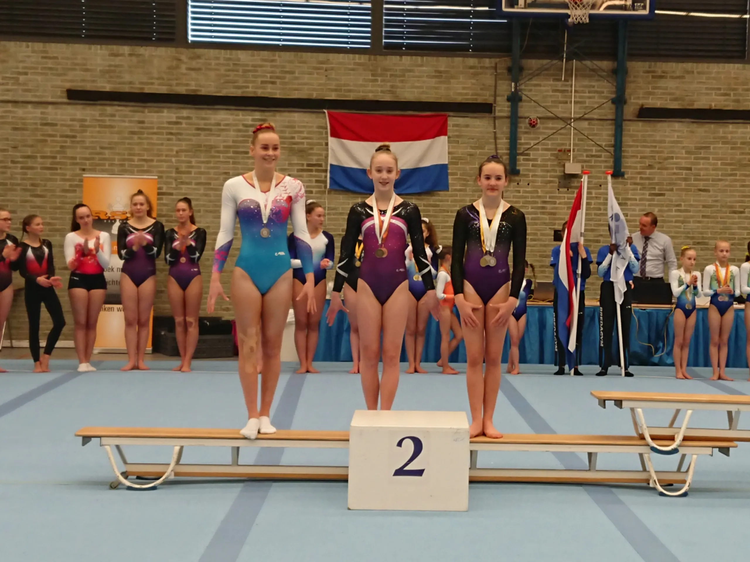 inshot 20190216 184147754