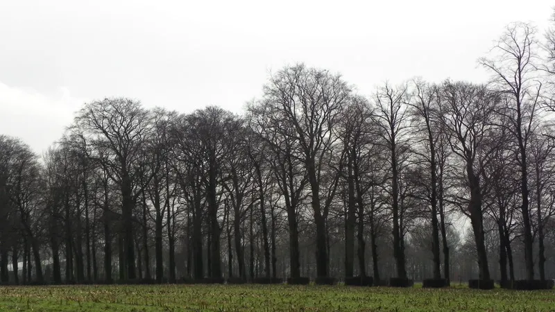 kasteellaan foto annie van bokhoven