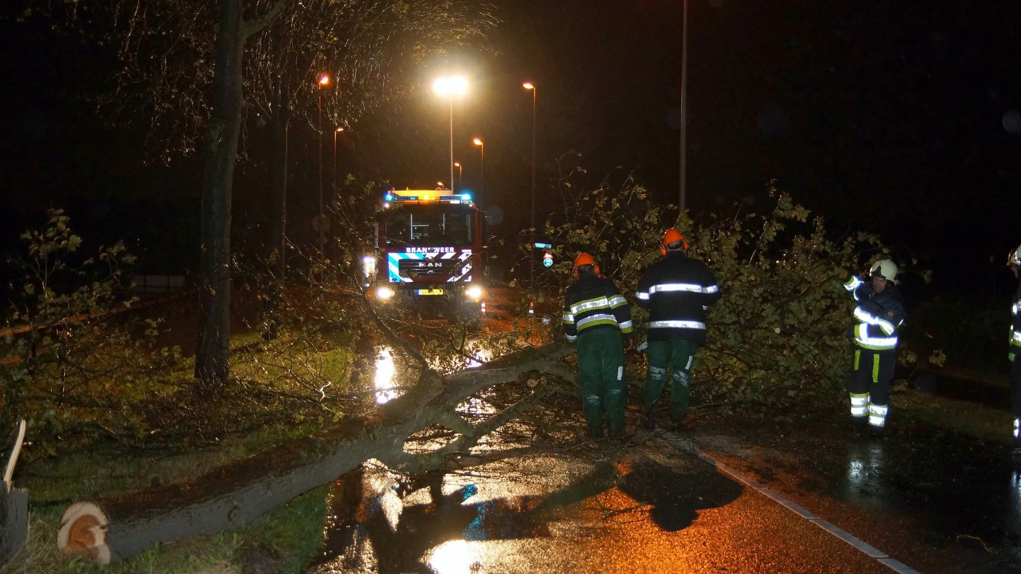 knqx513hhhl8uwm1838yc674r dsc06463 001