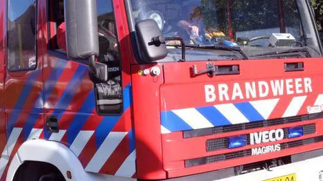 kw5pn7gwjs8vfaix1qu9tn82b ww140310brandweer
