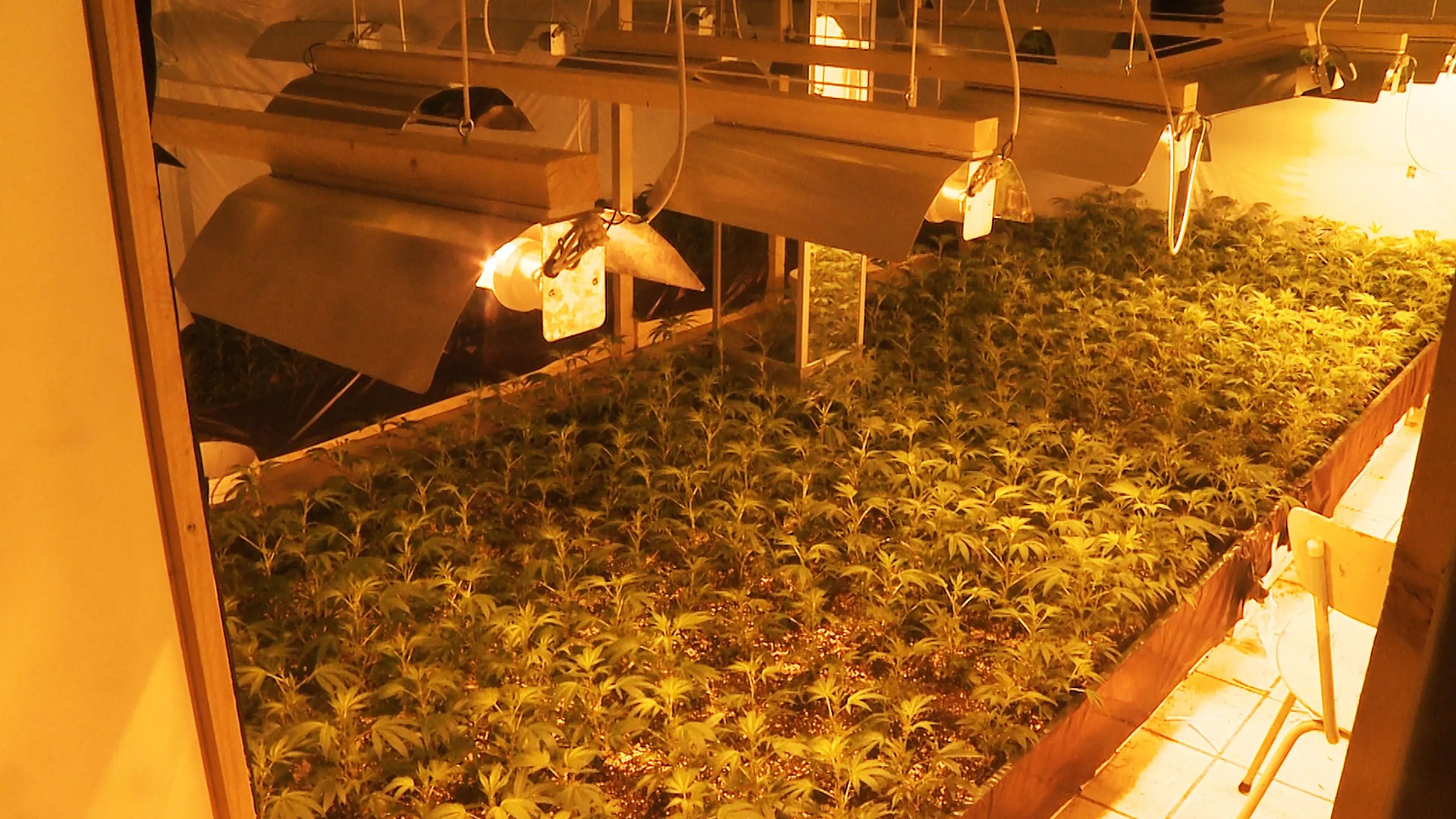 kykf2oxc4dgi30said9ztrbfb ww140519hennep novum