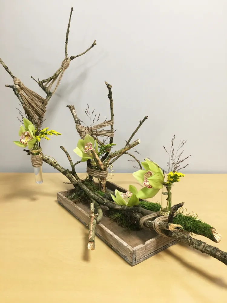 les creatief vlechten tussen takken