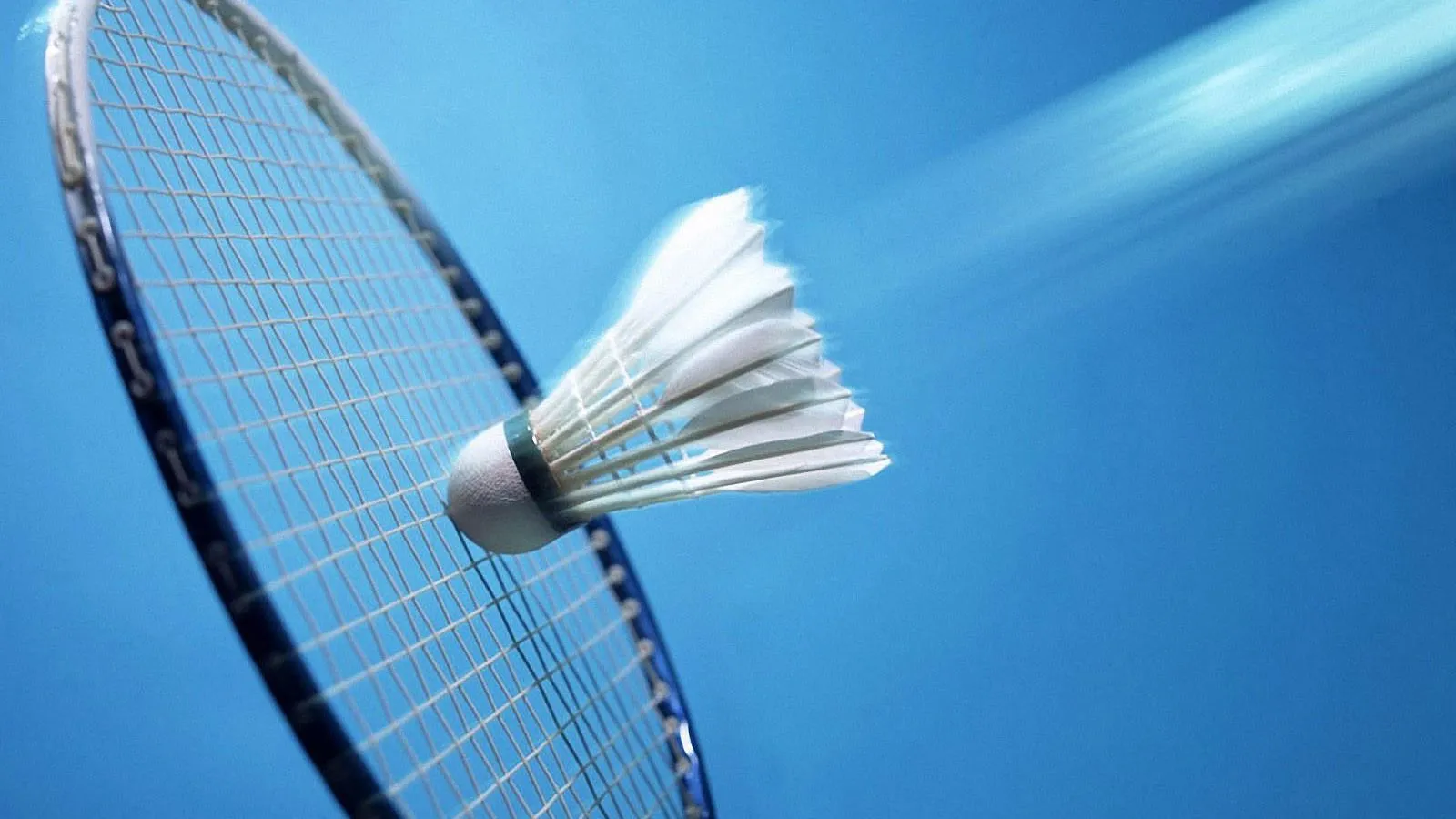 lpebk4y4u1v0czfubcexlat8d ww badminton