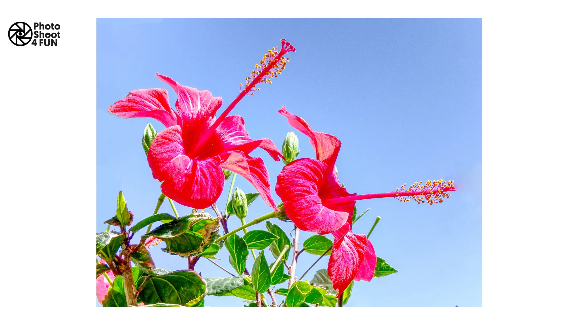 maandfoto hn nieuwsbericht philip sonke