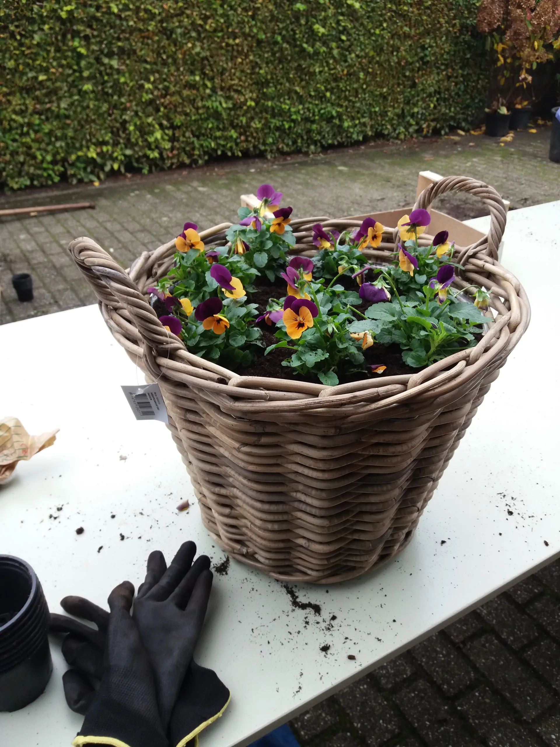 mand klaar 20161022 110137