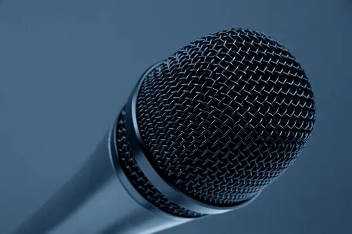 microphone 298587 340