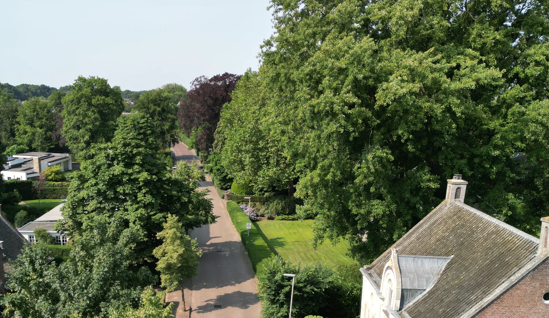 monumentale bomen aan de meliestraat 1