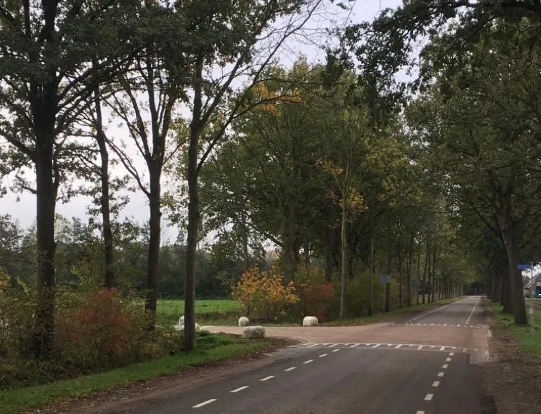 ontsluiting tuinbouwweg 1