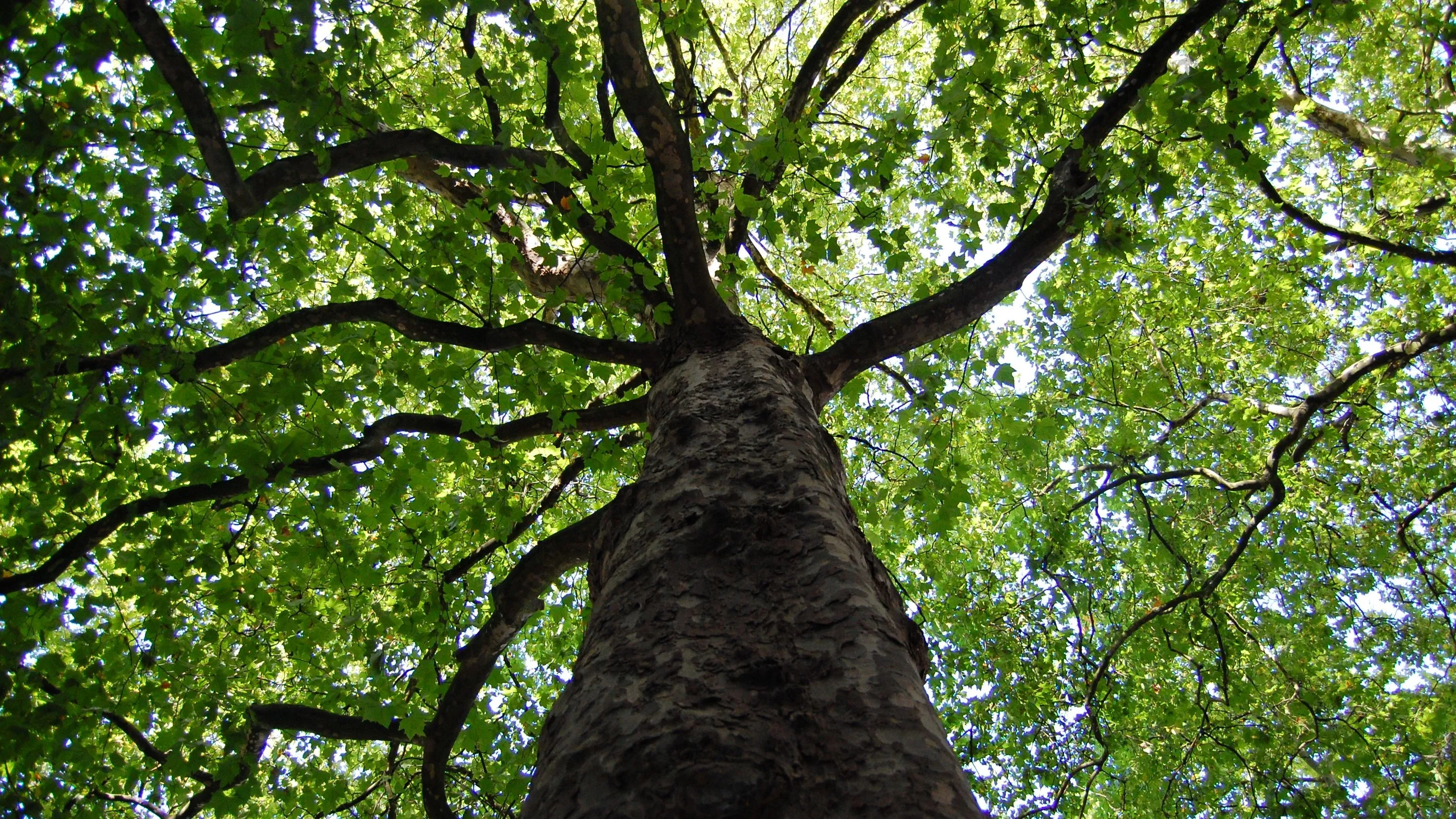 p53f5qgqs2tx0b72zjgs4etrk boom