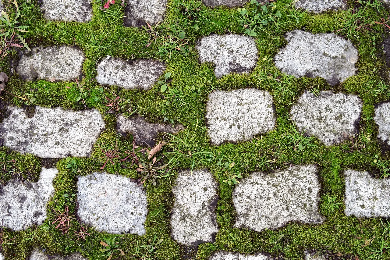 pavers 2946486 1280