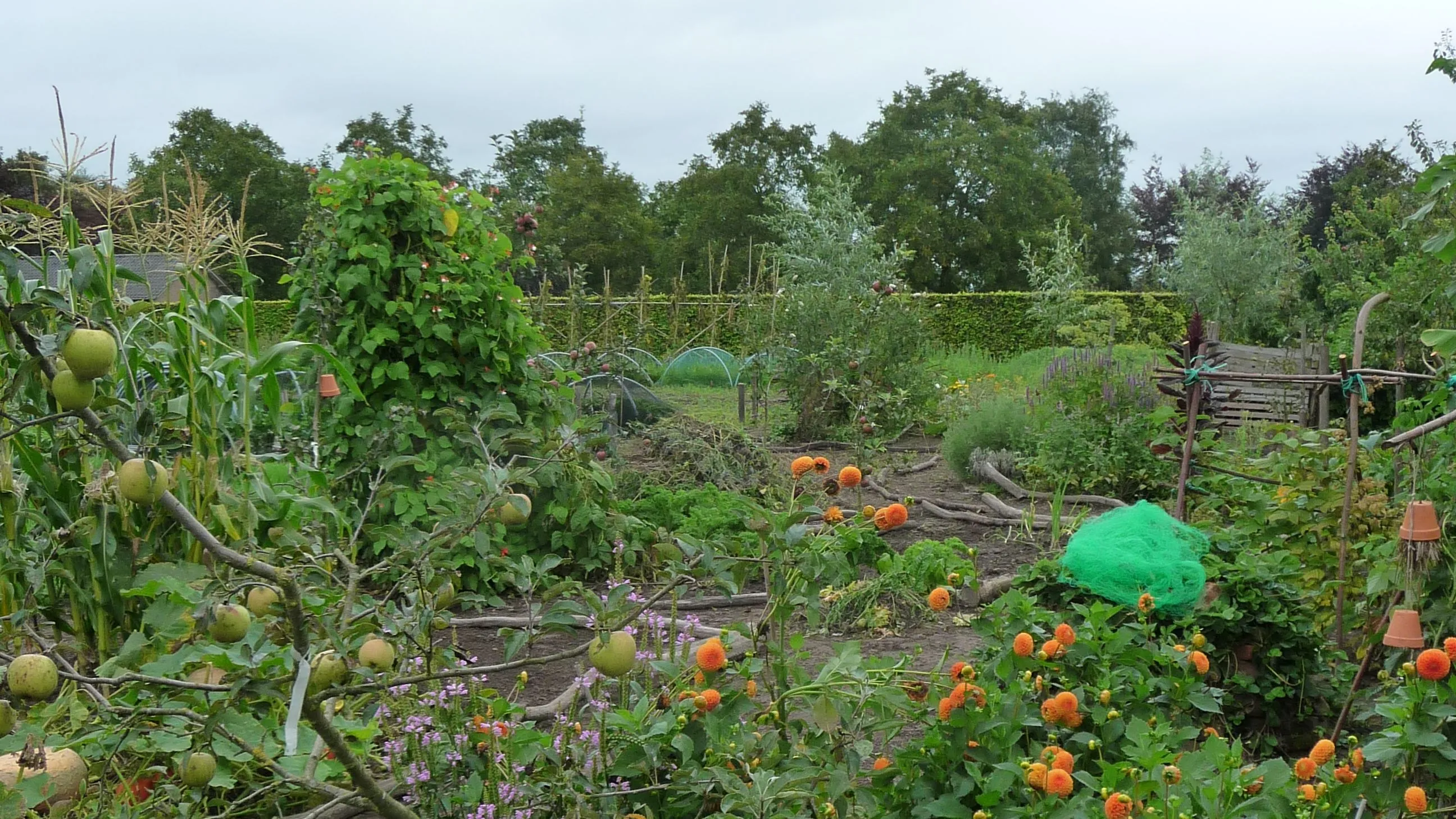 pzchv6r032quh4hu2ely42s1p cursus ecologisch tuinierenp1050234