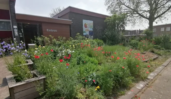 schermafbeelding 2024 02 22 161827