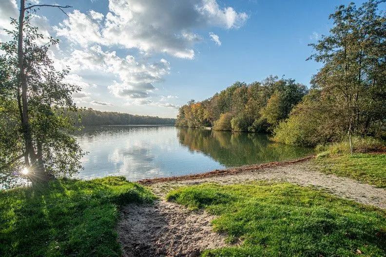 seniorenschool roeivijver