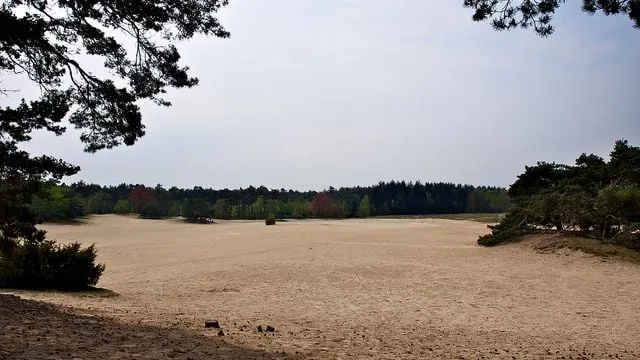 si7k062powrujnso6nb4xvdw7 ww duinen
