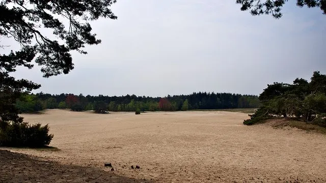 si7k062powrujnso6nb4xvdw7 ww duinen