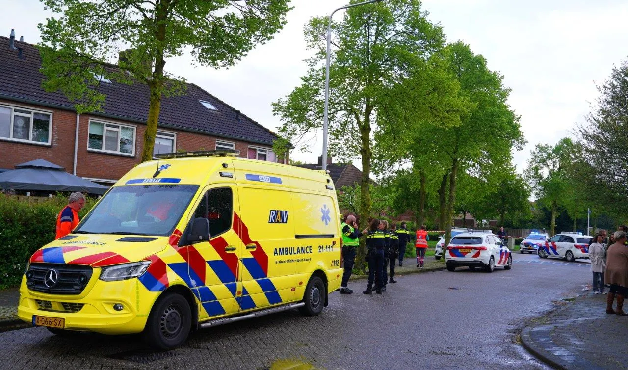 steekpartij vlijmen 2