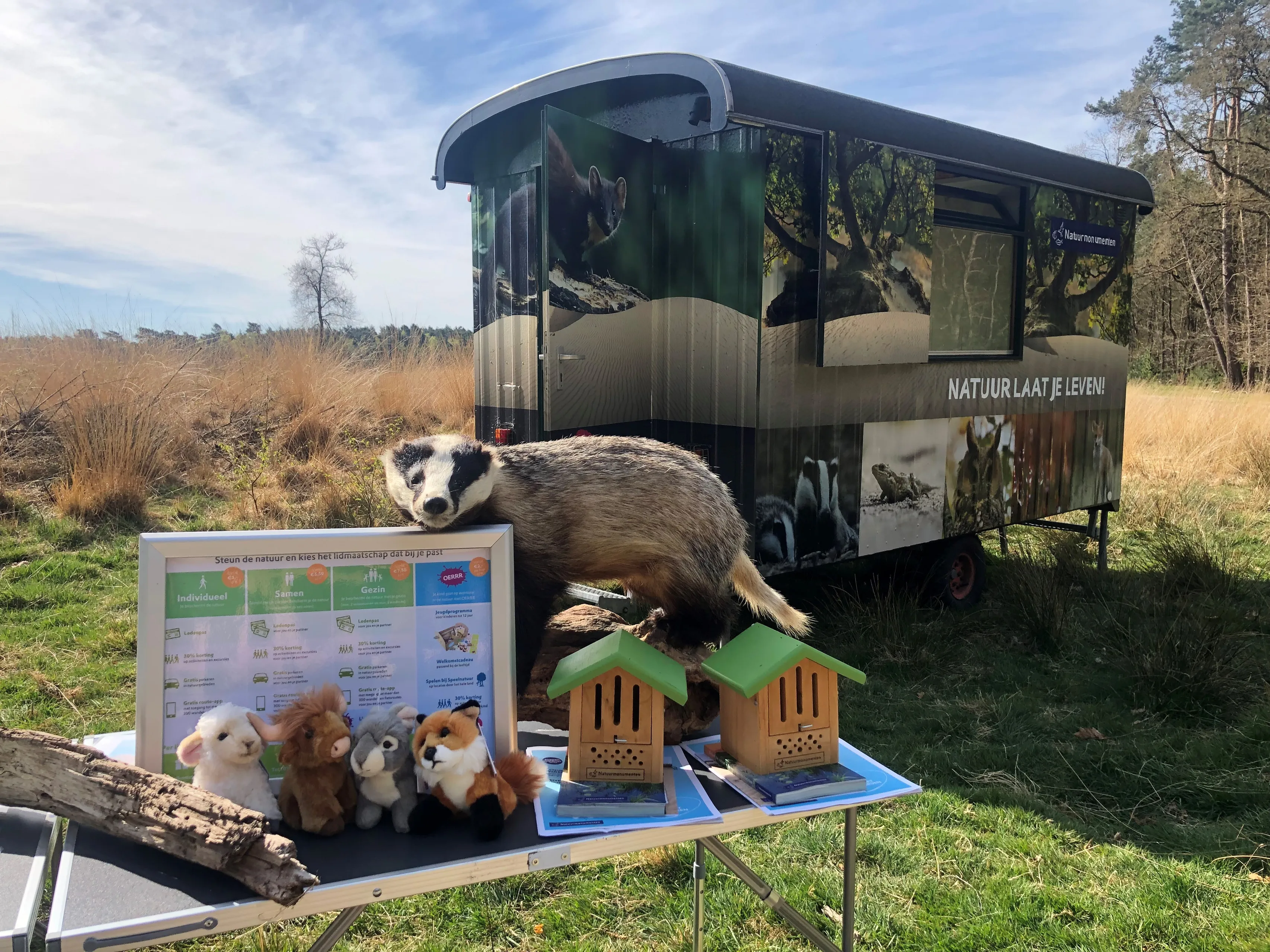 stuif es in wagen voorkant