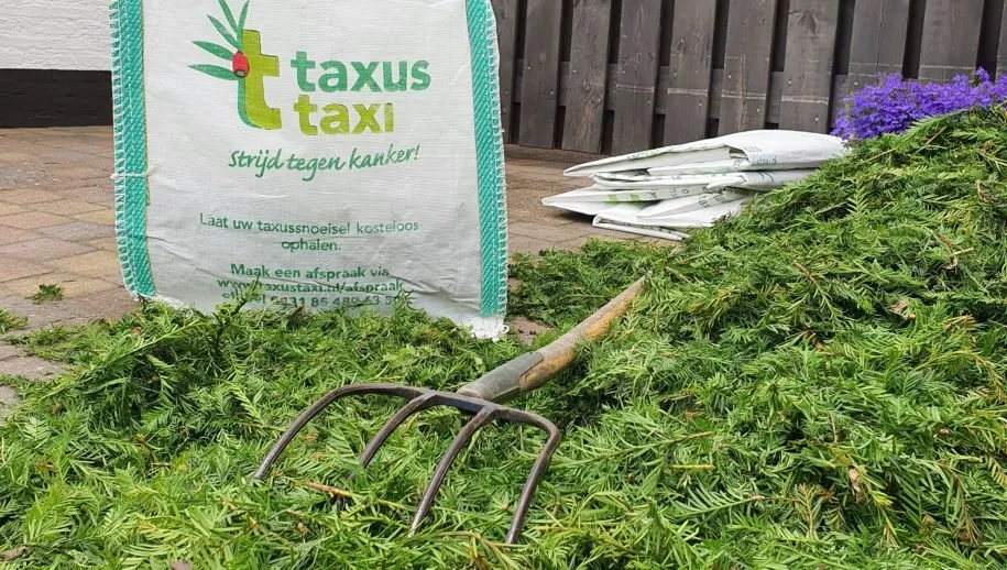 taxus taxi