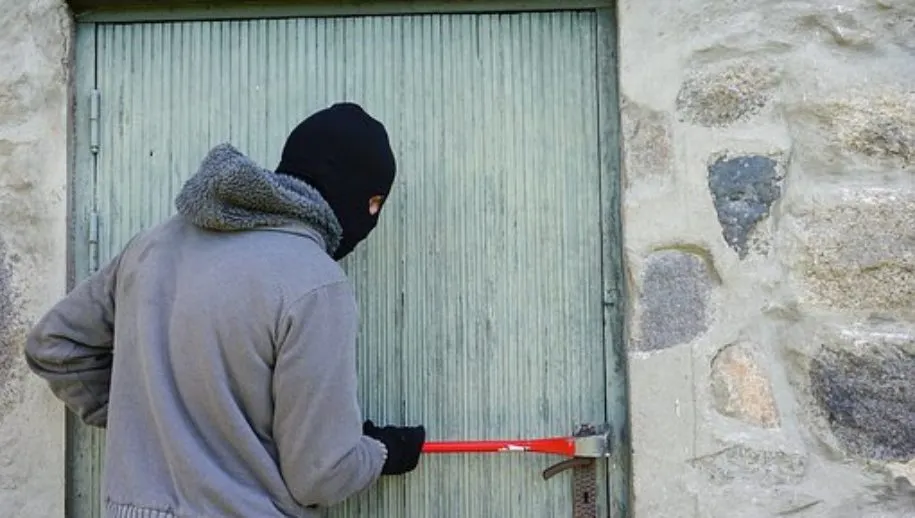 thief 1562699 340 915x518