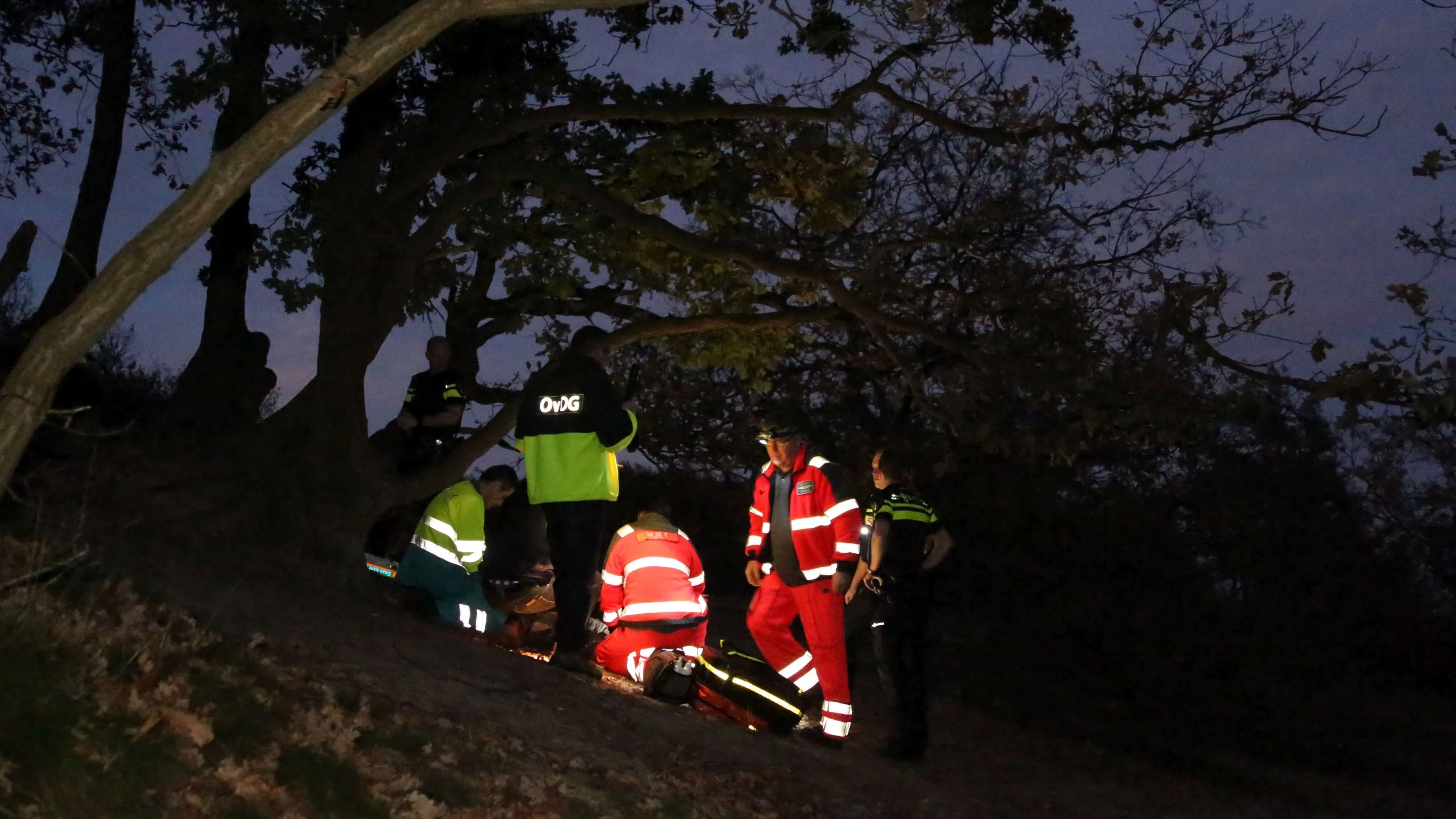 u6qw21czywq1us0brwsxa76xi 2014 00 11 09 4537 kaatsheuvel roestelberg val uit boom