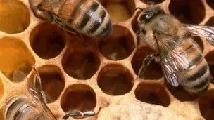 uiqxanc1jbqnxm97d60r4kes7 ww140711openhuis