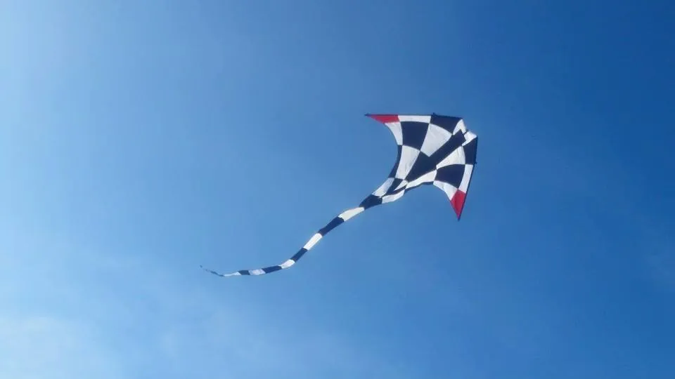 vliegeren