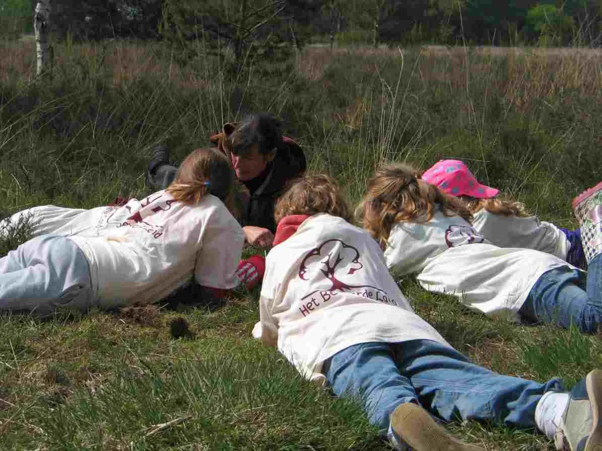 vol concentratie licht