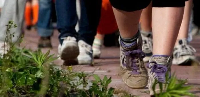 wandelschoenen