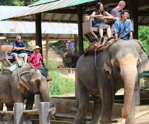 world animal protection olifantenrit 1280x720 600x500